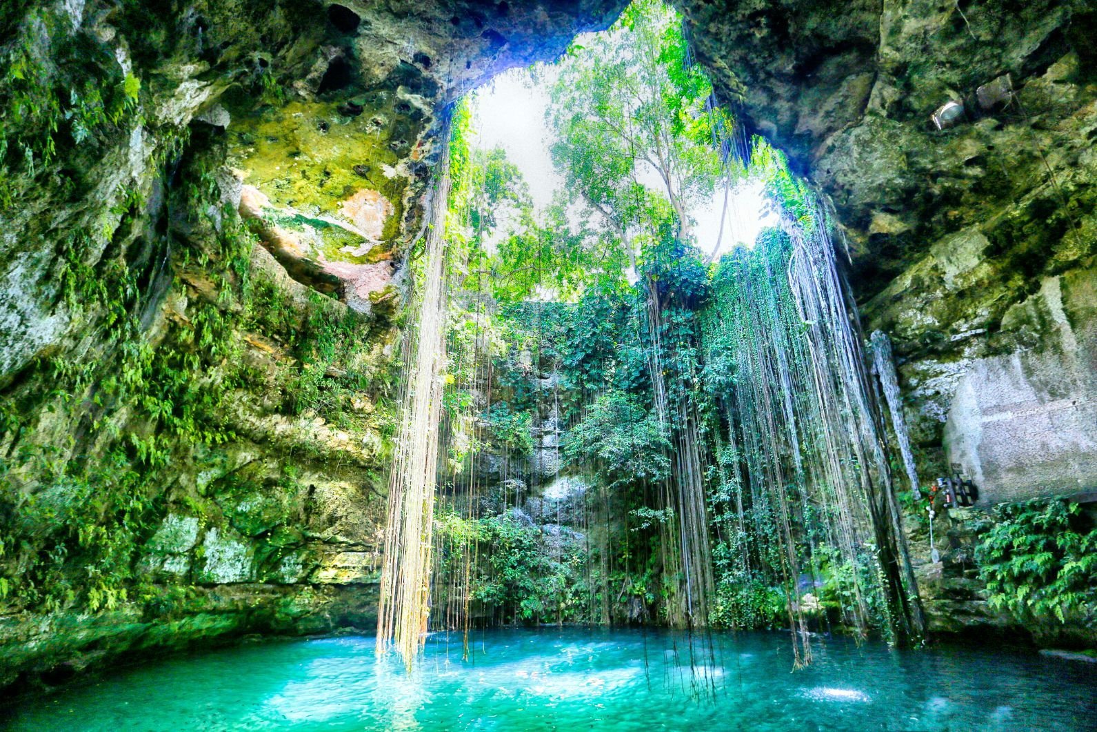 The 8 best Cenotes in the Riviera Maya