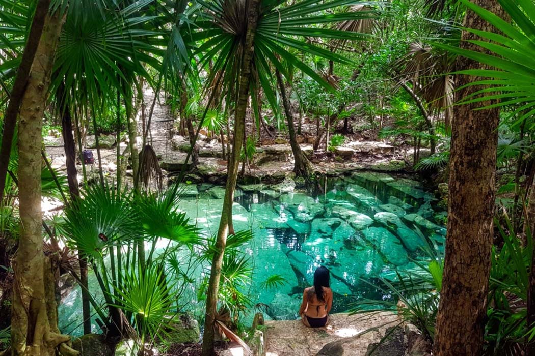 Bienes Raices Mérida De The Agency Playa del Carmen Real Estate for sale 